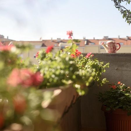 Basic Apartman Apartment Zadar Luaran gambar